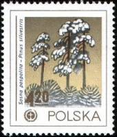 (1978-035) Марка Польша "Сосна обыкновенная "    Охрана окружающей среды III Θ
