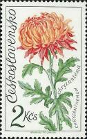 (1973-035) Марка Чехословакия "Хризантема"    Выставка цветов III Θ