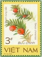 (1986-110a) Марка Вьетнам "Китайский тис"  Без перфорации  Редкие растения III Θ