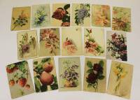 Набор почтовых карточек 1900-1917 гг Цветы (30 штук)