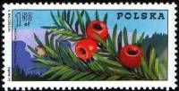 (1975-020) Марка Польша "Тис ягодный, Судетские горы"    100-летие Организации горных гидов: туризм