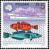 (1987-002) Марка Польша "Мраморная Нототения, Зубатка"    10-летие антарктической станции Генрика Ар