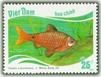 (1988-015) Марка Вьетнам "Огненный барбус"    Тропические рыбы III Θ