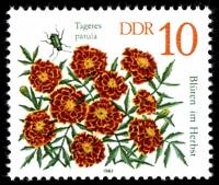 (1982-081) Марка Германия (ГДР) "Бархатцы мелкоцветные"    Цветы II Θ
