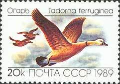 (1989-050) Марка СССР &quot;Огарь&quot;   Утки II Θ
