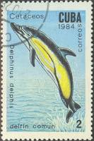 (1984-014) Марка Куба "Дельфин-белобочка"    Киты и дельфины III Θ
