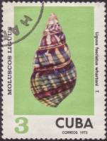 (1973-082) Марка Куба "Уортона"    Раковины молюсков III O