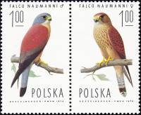 (1975-002-003) Сцепка марок (2 м) Польша "Степная пустельга"    Ястребы III Θ