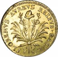(№1790km181(basel)) Монета Швейцария 1790 год 1 Goldgulden