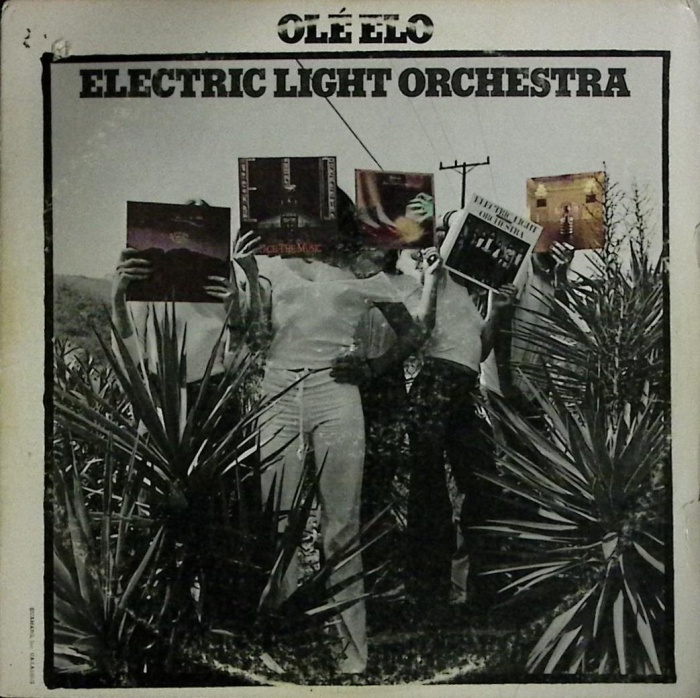 Пластинка виниловая , Electric light orchestra Records 300 мм. (Сост. на фото)