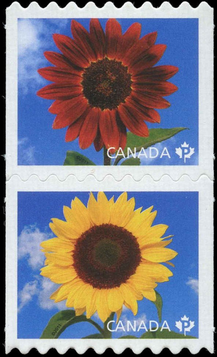 Лист марок Канада 2011 год &quot;Вертикальная пара подсолнухов&quot;, Гашеный