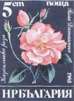 (1985-054) Марка Болгария "Роза дамасская"   Розы III Θ