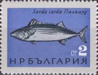 (1965-035) Марка Болгария "Пеламида"   Рыбы Чёрного моря I Θ