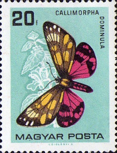 (1966-82) Марка Венгрия "Медведица-госпожа"    Бабочки II &Theta;
