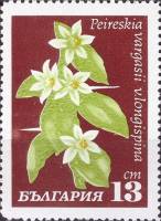(1970-026) Марка Болгария "Пейрезкия"   Кактусы III Θ