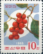 (1966-082) Марка Северная Корея "Лимонник китайский"   Дикорастущие ягоды и фрукты III Θ