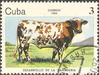 (1984-066) Марка Куба "Карибский крупный рогатый скот"    Развитие животноводства II Θ