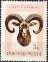 (1966-064) Марка Венгрия "Муфлон "    Охота III Θ