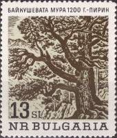 (1964-089) Марка Болгария "1200-летняя сосна"   Вековые деревья III Θ
