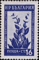 (1953-038) Марка Болгария "Горечавка (Синяя)"   Лекарственные растения Болгарии (1) III Θ