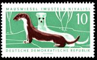 (1962-002) Марка Германия (ГДР) "Ласка"    Охраняемые животные II Θ