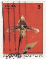 (1971-037) Марка Куба "Башмачок настоящий"    Орхидеи II Θ