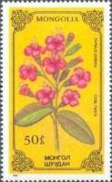 (1986-042) Марка Монголия "Тимьян гобийский"    Лекарственные растения III O