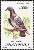 (1992-083) Марка Вьетнам "Сизый голубь "    Голуби III Θ