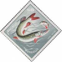(1965-029) Марка Монголия "Щука "    Речные хищные рыбы III O