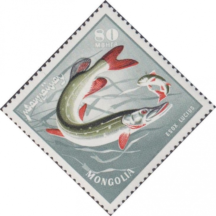 (1965-029) Марка Монголия &quot;Щука &quot;    Речные хищные рыбы III O
