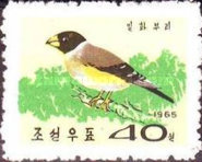 (1965-074) Марка Северная Корея "Китайский дубонос"   Птицы III Θ