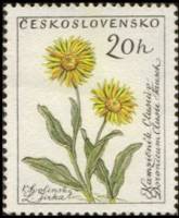 (1960-059) Марка Чехословакия "Дороникум"   Цветы II Θ