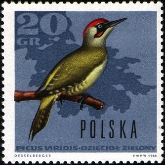 (1966-068) Марка Польша &quot;Зелёный дятел&quot;   Птицы III Θ
