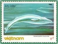 (1985-084) Марка Вьетнам "Синий кит"    Морские животные III Θ