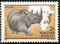 (1981-006) Марка Венгрия "Черный носорог "    100 лет со дня рождения Каймана Киттенбергера. Фауна А