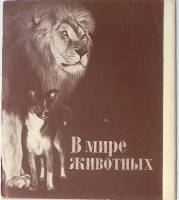 Набор открыток В мире животных 18 шт 1980 г