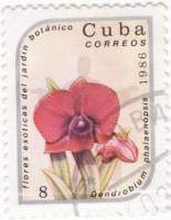 (1986-015) Марка Куба "Дендробиум фаленопсис "    Экзотические цветы III Θ