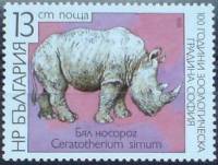 (1988-034) Марка Болгария "Белый носорог"   Зоопарк Софии, 100 лет II Θ