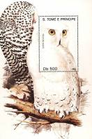(№1991-255) Блок марок Сан-Томе и Принсипи 1991 год "Снежные OwlnbspnbspnbspnbspStrix nyctea", Гашен