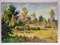 Картина Тулаев В. Н. 1982 г. Летний пейзаж № 2 масло картон 35х24 см
