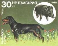 (1985-124) Марка Болгария "Болгарская гончая"   Охотничья собака III O