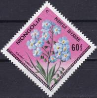 (1979-020) Марка Монголия "Незабудка азиатская"    Цветы III O