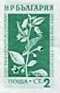 (1953-042) Марка из блока Болгария "Беладонна (Красавка)"   Лекарственные растения Болгарии (2) III 