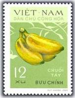 (1970-041) Марка Вьетнам "Чуой Тай"   Бананы III Θ