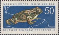 (1963-049) Марка Германия (ГДР) "Зеленая жаба"    Охраняемые животные III O