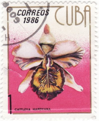 (1986-057) Марка Куба &quot;Каттлея&quot;    Орхидеи II Θ