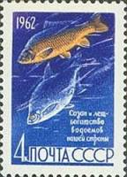 1962-079 Марка СССР Лещ и сазан   Рыбы III O