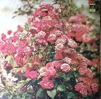 Пластинка виниловая Тич-Ин Цирковое представление Мелодия 300 мм. Excellent