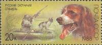 1988-046 Марка СССР Русский охотничий спаниель  Отечественные породы охотничьих собак I O