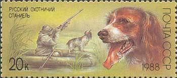 1988-046 Марка СССР Русский охотничий спаниель  Отечественные породы охотничьих собак I O